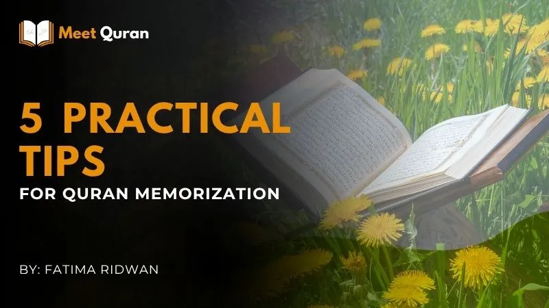 An open Quran in a sunny field of dandelions, representing practical tips for Quran memorization. Blog by Fatima Ridwan for Meet Quran.