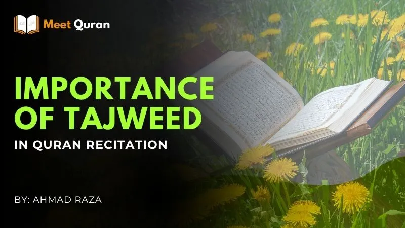 An open Quran rests in a field of green grass and yellow dandelions, illustrating the importance of Tajweed in Quran recitation. Blog by Ahmad Raza for Meet Quran.